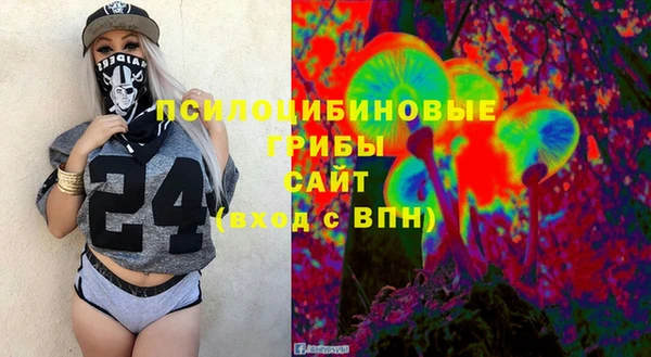 дмт Горнозаводск