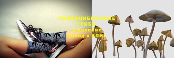 дмт Горнозаводск