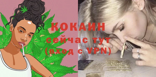 дмт Горнозаводск