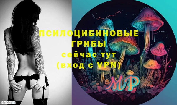 соль курить ск Горно-Алтайск