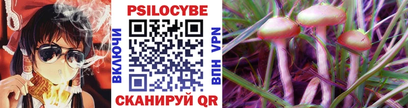 Купить  Кашин  Галлюциногенные грибы Psilocybe 